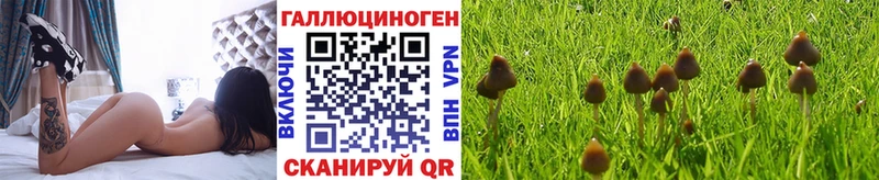 Псилоцибиновые грибы прущие грибы  Верхнеуральск 