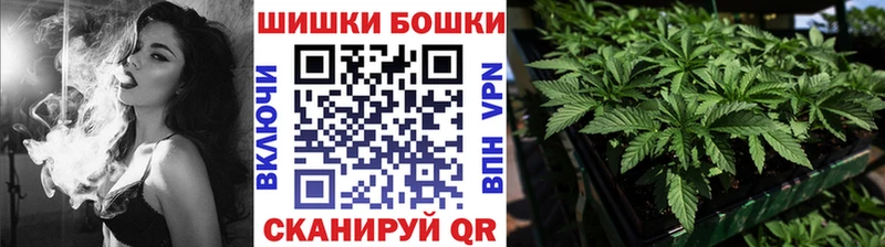 Бошки Шишки план  дарнет шоп  Верхнеуральск 